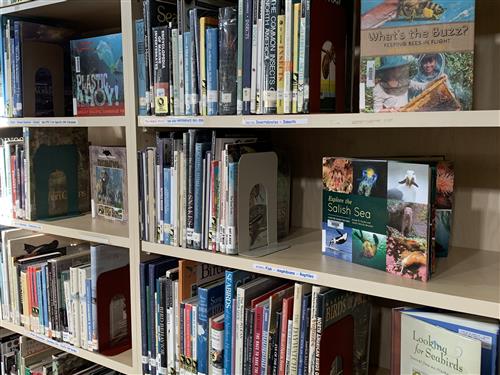 Nonfiction Shelves 